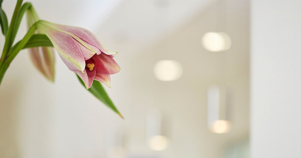 Unsere Praxis - Dr. med. Peter Stein